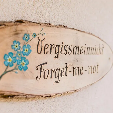 Vergissmeinnicht Includes Zell Am Kaprun Summer Card ツェル アム ゼー